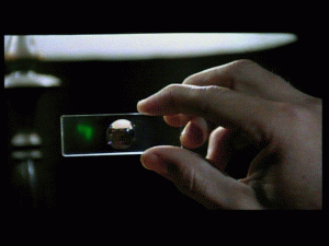 doc0161.gif